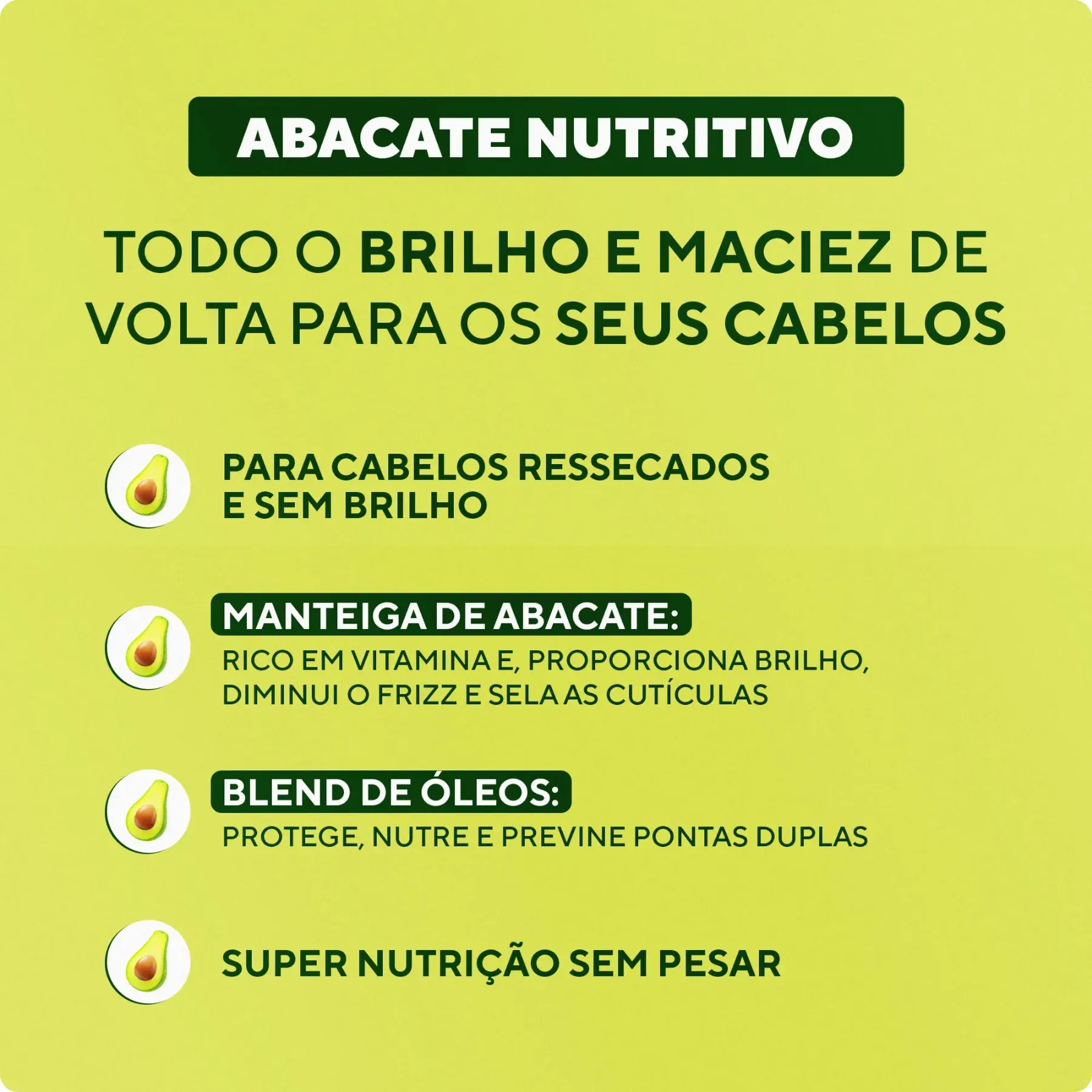 DB ABACATE -3-
